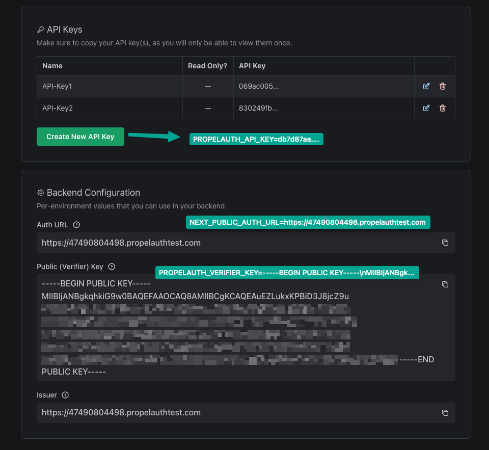 Nextjs backend config