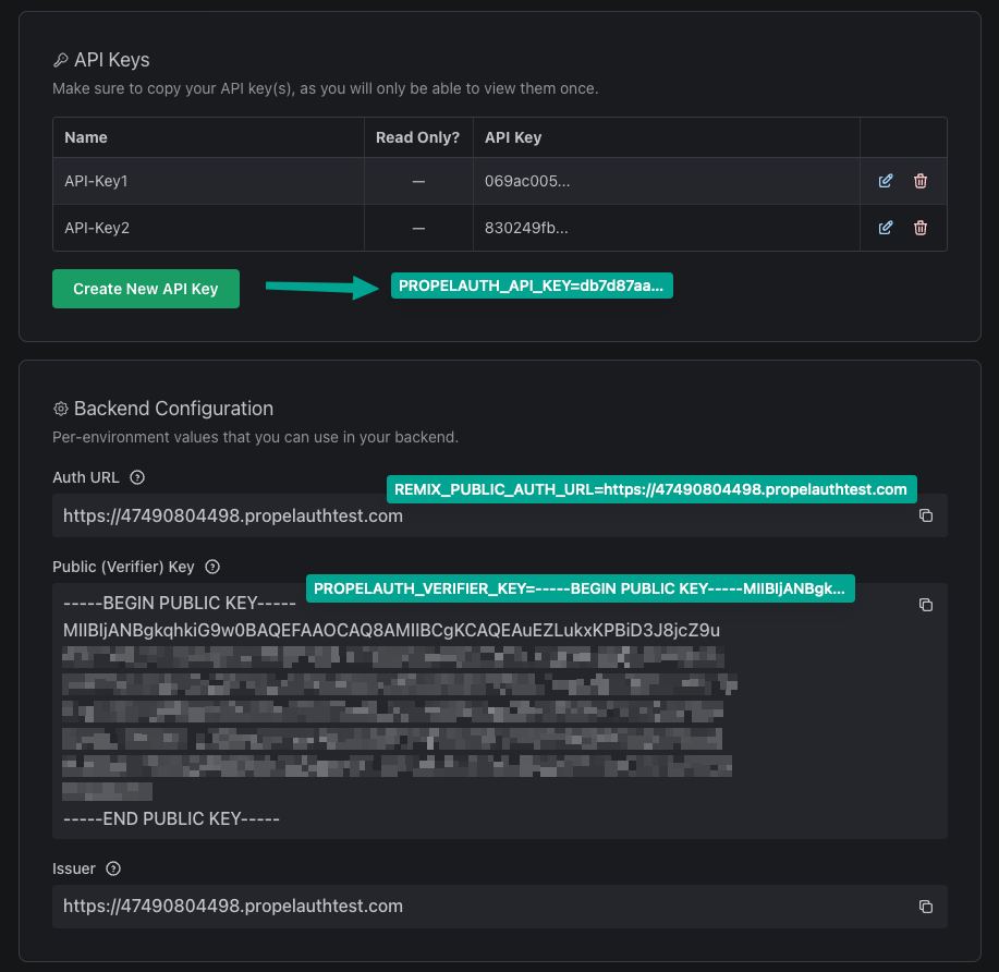 Remix backend config